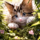 NyanWanWorld