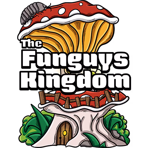 The Funguy Kingdom x The Sandbox