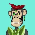 Atomic Ape Evo