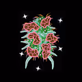 METANFTWEED