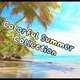 Colorful Summer Collection 2024