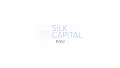 Silk Capital DAO V2