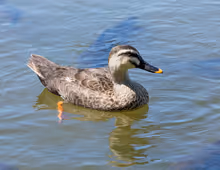 longlonglonglonglonglonglonglonglonglonglonglonglonglonglonglonglong