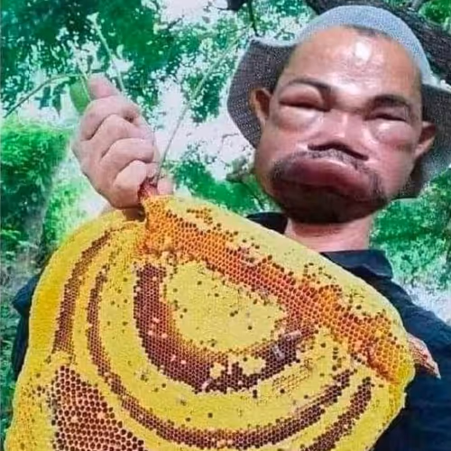 legit beehives shhhhhh