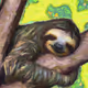 Good Night Sloth