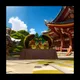 開運 金の玉NFT ~太陽の祈願~
