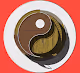 DOJO DESIGN PROCESS