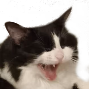 asldkjhjfalksjdfi83iuhjfjf