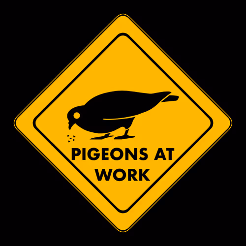 Pigeons at Work