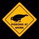 Pigeons at Work