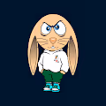RAPBit