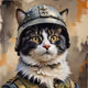 CatSoldier 1/1 NFTs