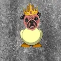CRAZYPUGS