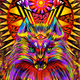 fusion of light and shadow