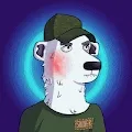 Polar Bears