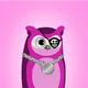 Owl Connection