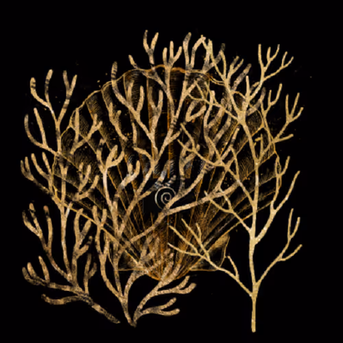 Fragments – Ocean Gold Edition