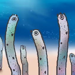 チンアナゴの日記念NFT