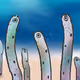 チンアナゴの日記念NFT