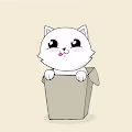 Rice Cake Box