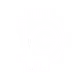 DELT COIN - CHEETAH