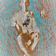 METHEXIS 11