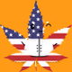 Weed Buddy's