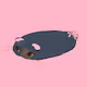 Cute_CatsNFT