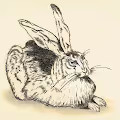 Rabbits, Bunnies, Hares