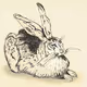 Rabbits, Bunnies, Hares