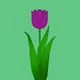 Baked Tulips