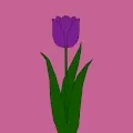 Baked Tulips