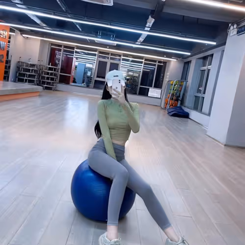 feiyu V2