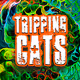 trippingcatsnft