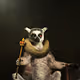 French_Lemur Collection