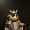 French_Lemur Collection