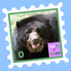 Wild Friends: Aruma #0
