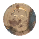 Corroded SKuLZ Coins