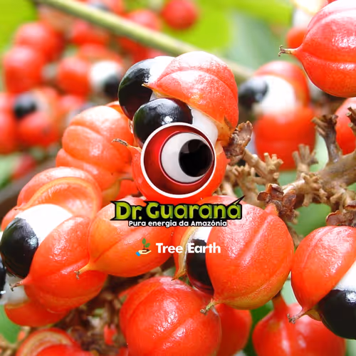 Dr Guarana Tree Earth