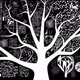Welcome to Darwin's Haeckel