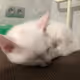 mow