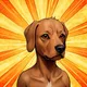 Barkiverse