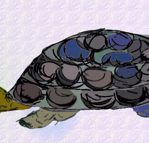 Peppina the Reconstructed turtle V2