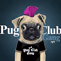 Pug Club Gang