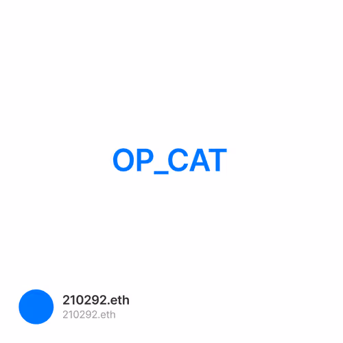 OP_CAT