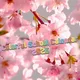 Colorful School Calendar 2025