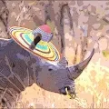 DinoTheRhino