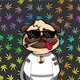 Bit Pugs
