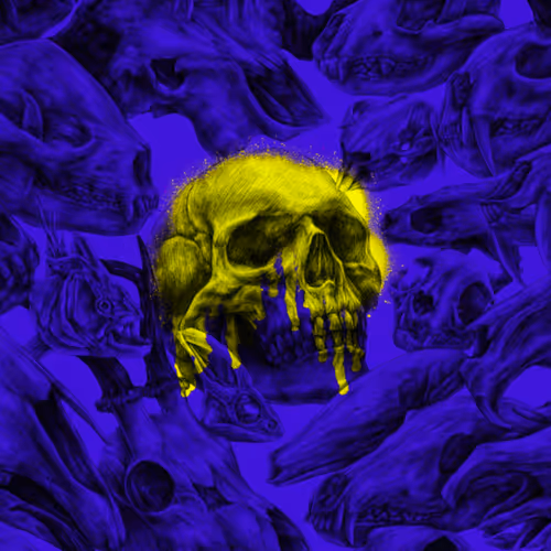 Skulls - Lulls