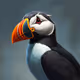 Puffin Patrol